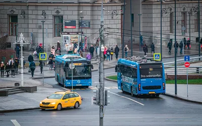 Общественный транспорт Москвы нарастил убытки до рекордных ₽46 млрд — РБК