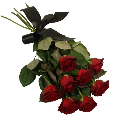 Букет цветов «Траурный букет из гвоздик» - закажи с бесплатной доставкой в  Анапе от 30 мин
