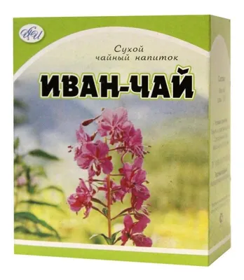 Как заготавливать иван-чай, чтобы не потерять его полезных свойств