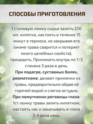 Трава ЖИЗНИ! Мокрица Омолаживает, улучшает кровь память ... | Всё о  здоровье | Фотострана | Пост №1161363998