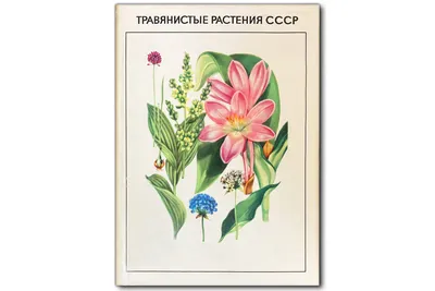 Травянистые растения (выпуск 1)