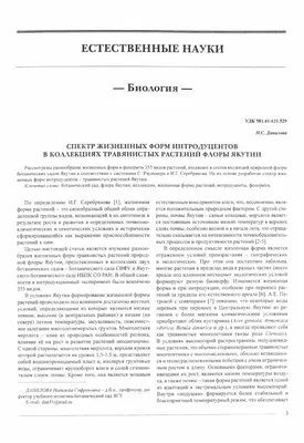 Стильная композиция из валунов, …» — создано в Шедевруме