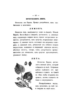 Травник лекарственных растений (альбом для гербария А4 на 20 листов) в  интернет-магазине Ярмарка Мастеров по цене 1955 ₽ – OQTHGRU | Блокноты,  Санкт-Петербург - доставка по России