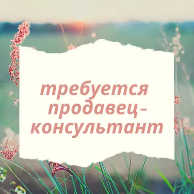 Требуется продавец – работа в Красноярске, зарплата 800 руб., продано 18  сентября 2019 – Продажи