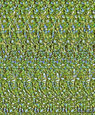 Taking off : Stereogram Images, Games, Video and Software. All Free! |  Magic eye pictures, Magic eye posters, Magic eyes