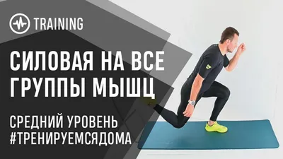 Тренировка на все тело БЕЗ прыжков за 15 минут в Домашних условиях |  Тренировка для Похудения ДОМА - YouTube