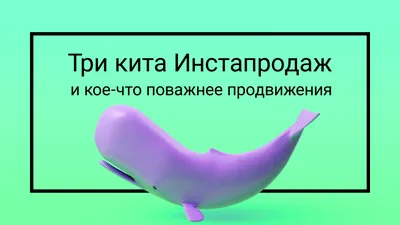 ТК «Три кита» магазин мебели PUSHE в Москве МО, Одинцовский р-н, ул.  Луговая, 1, секция 1/3, –, без перерывов и выходных