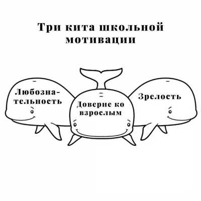 Горбуша ТРИ КИТА лосось дальневосточный соленые ломтики – купить онлайн,  каталог товаров с ценами интернет-магазина Лента | Москва, Санкт-Петербург,  Россия