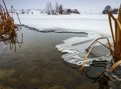 Три состояния воды. 3 класс - презентация, доклад, проект скачать