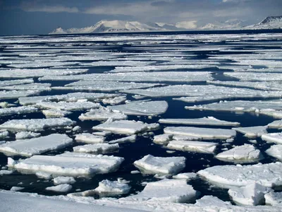 Презентация "Три состояния воды" – скачать проект