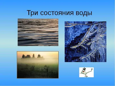 Свойства и состояния воды - презентация, доклад, проект