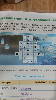 Три агрегатных состояния воды 7 класс