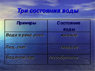 Лэпбук «Вода — чудо природы!» для детей среднего дошкольного возраста (10  фото). Воспитателям детских садов, школьным учителям и педагогам - Маам.ру