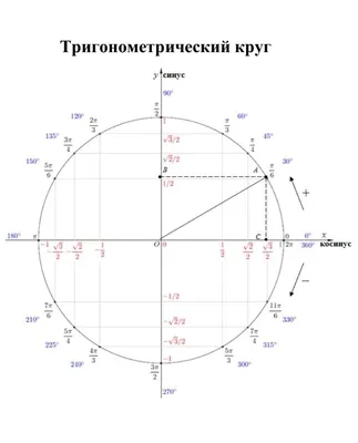 Unit circle — Тригонометрическая окружность | Тригонометрия, Уроки  геометрии, Уроки математики