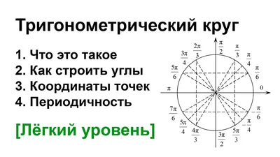 Тригонометрический круг