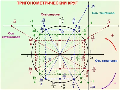 Тригонометрический круг