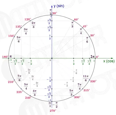 Тригонометрия за 5 минут! Тригонометрические функции и тригонометрический  круг простыми словами | Клуб любителей математики - 