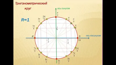 Блок Круг Математика учительницы настенные часы тригонометрия  предварительно вычисление классный Декор Геометрия радиан маркированные  углы значения настенные часы | AliExpress