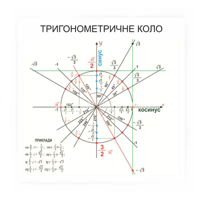 Постер Тригонометрический круг Математика для школы 50х70 см PosterNak  106717488 купить за 168 600 сум в интернет-магазине Wildberries