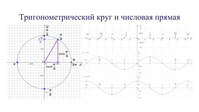 PosterNak Постер Тригонометрический круг Математика для школы 40х60 см