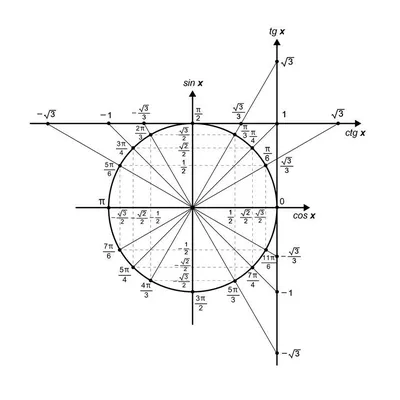 Тригонометрический круг и Тригонометрические тождества. | математика | Дзен