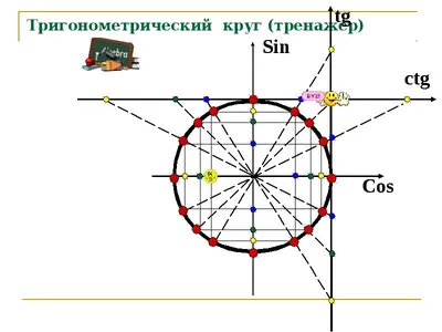 ТРИГОНОМЕТРИЧЕСКИЙ КРУГ | Школа математики / Методика | Дзен