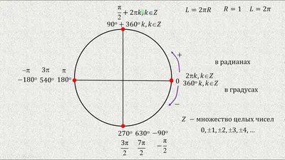 Тригонометрический круг #56