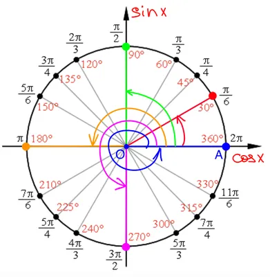 Тригонометрия за 5 минут! Тригонометрические функции и тригонометрический  круг простыми словами | Клуб любителей математики - 