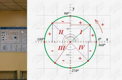 Тригонометрический круг
