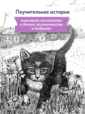 Книга Трогательные лабиринты. Чьи домики и детки? - купить книги по  обучению и развитию детей в интернет-магазинах, цены на Мегамаркет |