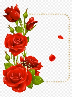 Picture Texture Red rose flower Many 600x800