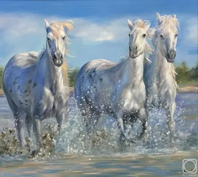 Иллюстрация Тройка лошадей в стиле декоративный, книжная графика |