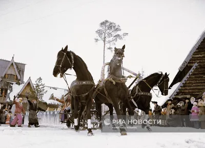 ❄️ тройка белых лошадей запряженных …» — создано в Шедевруме