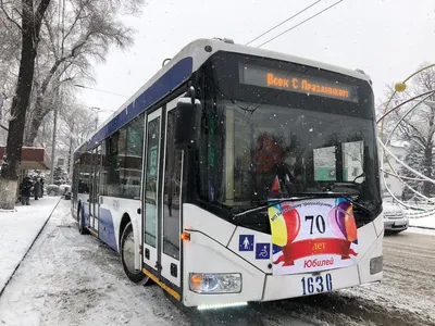 В цветах моря: в Николаеве показали обновленный троллейбус | СВІДОК.info