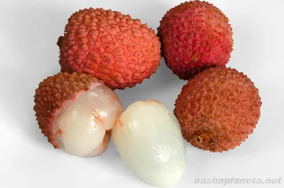Какие фрукты на Бали стоит попробовать