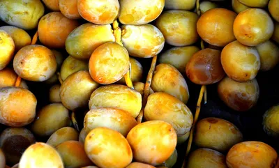 Immuno-мармелад (тропические фрукты) Yoo Gо, 90 г — купить с доставкой по  РФ в Интернет-магазине Siberian Wellness: цена, отзывы