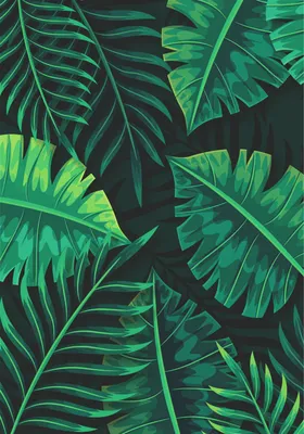 Тропические листья | ArtBUP – международная платформа для живописи