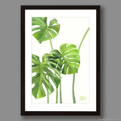 Иллюстрация Тропические листья | 