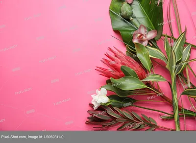 Картины: Тропические цветы в интернет-магазине Ярмарка Мастеров по цене  30000 ₽ – TEJDKBY | Картины, Москва - доставка по России
