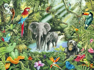 Тропические животные 