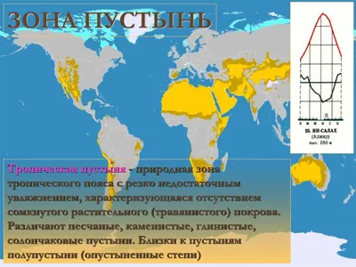 Доклад Животные и растения тропических пустынь 2 класс сообщение (описание  для детей)