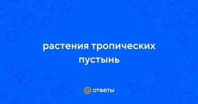 В мире стремительно уничтожают тропические леса. Почему план по их спасению  не работает?: Климат и экология: Среда обитания: 