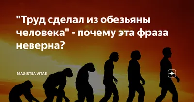 Картинки труд человека летом (68 фото) » Картинки и статусы про окружающий  мир вокруг