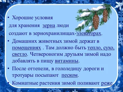 Календарное планирование тематической недели «Зима. Зимние забавы. Одежда,  головные, уборы зимой» в подготовительной группе (3 фото). Воспитателям  детских садов, школьным учителям и педагогам - Маам.ру