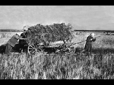 Дети войны – труженики тыла"