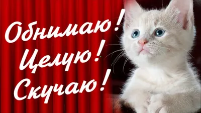 Обнимаю! Целую! Скучаю! Для тебя! - YouTube