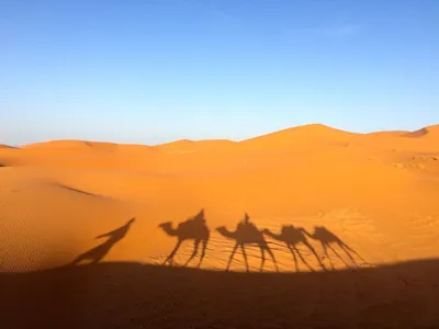 Песчаная пустыня - Сахара | TRAWORLD | Дзен
