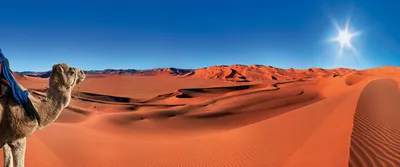 Гонки в пустыне - фотоистории на 
