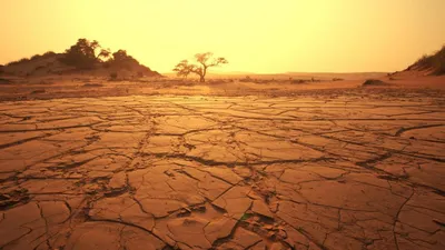 Песчаная пустыня - Сахара | TRAWORLD | Дзен