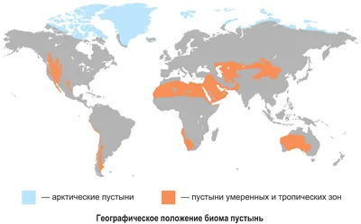 48—6. Биом пустынь